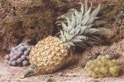 John Sherrin A Pineapple and Grapes on a mossy Bank (mk37) Sweden oil painting reproduction